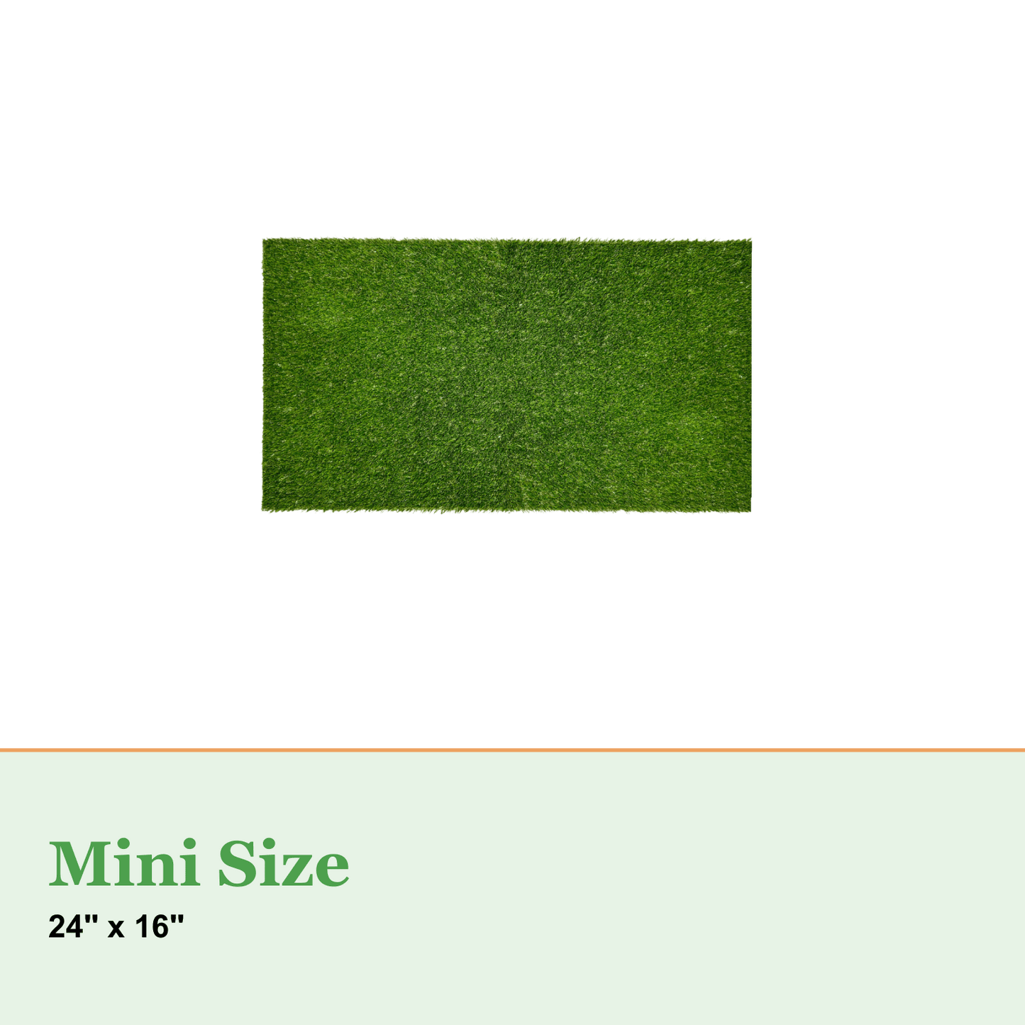 Synthetic Grass for Porch Potty