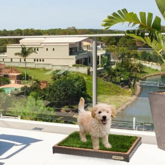 gid://shopify/MediaImage/26891866439723