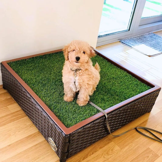 gid://shopify/MediaImage/26891940757547