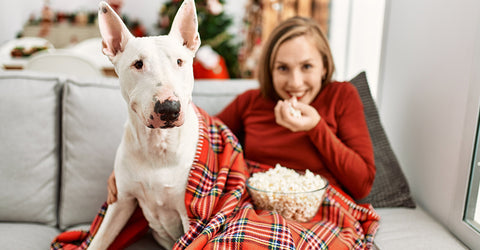 12 Dog Movies You Have to See