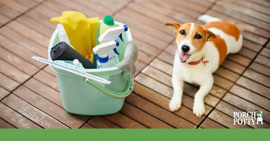 Jack Russell terrier sitting beside a bucket of cleaning supplies on a wooden deck, symbolizing pet-friendly cleaning.