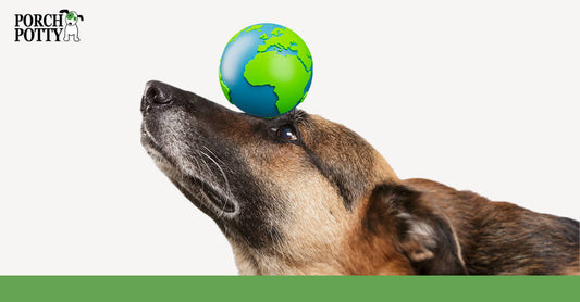 A German Shepherd balances a ball painted to look like Earth