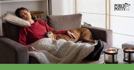 A dog and its owner are curled up on a sofa with blankets and pillows