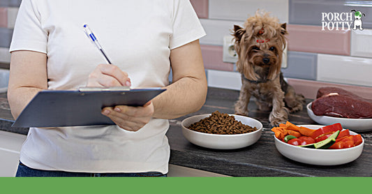 A young man takes notes on a clipboard as a Yorkshire is offered three different bowls of food.