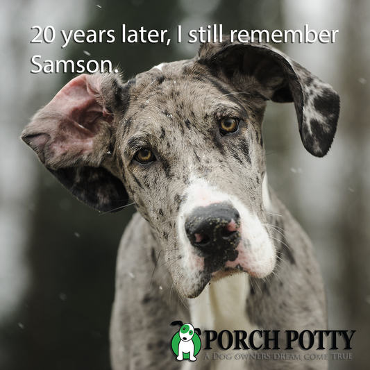 20 years later, I still remember Samson.