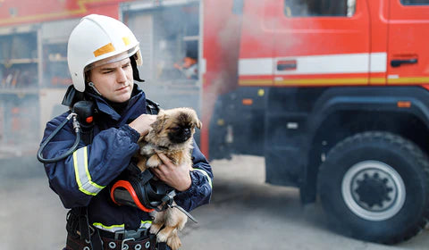 A firefighter holds a Pug puppy and pets it