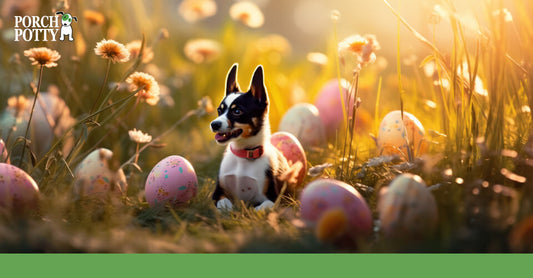 A small dog lays near colorful Easter eggs in a field
