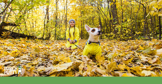 A young girl and her puppy are dressed in yellow rain slickers as they walk in a forest in autumn