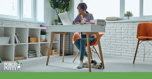 No More Accidents: Porch Potty Solutions for Full-Time Workers