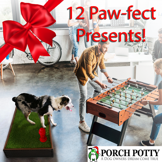 12 PAW-FECT PRESENTS FOR YOUR DOG