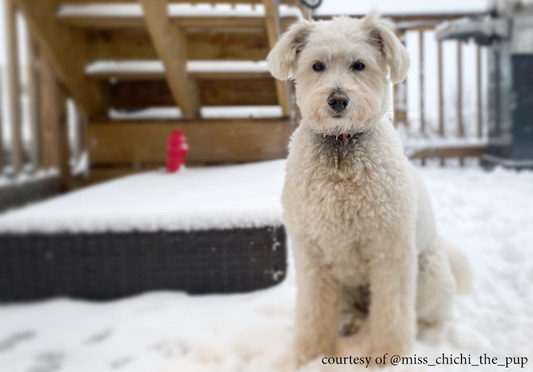 Stay warmer this winter with Porch Potty