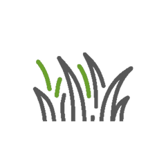 GRASS OPTIONS