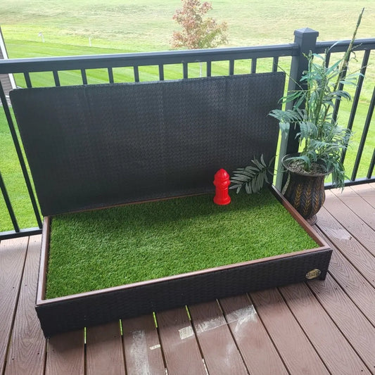 gid://shopify/MediaImage/26891891802155