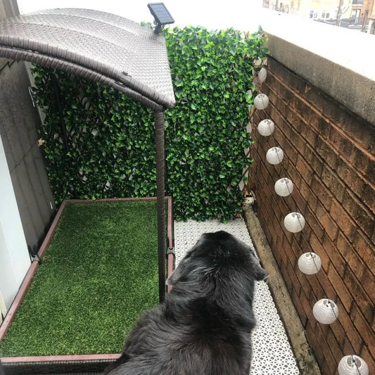 gid://shopify/MediaImage/26892012716075