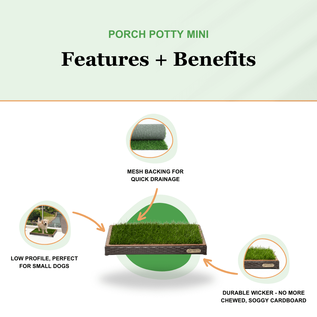 Porch Potty MINI