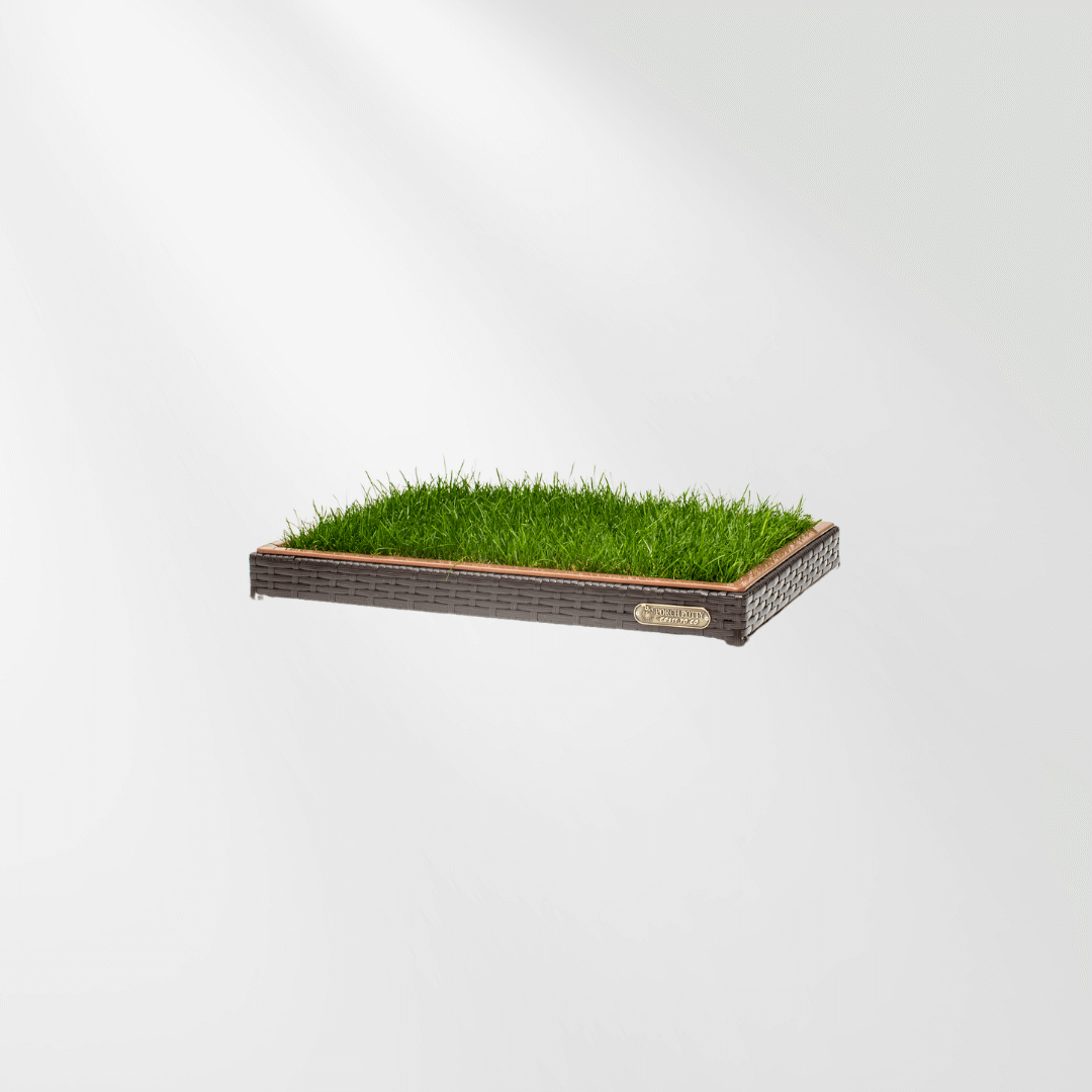 Porch Potty MINI