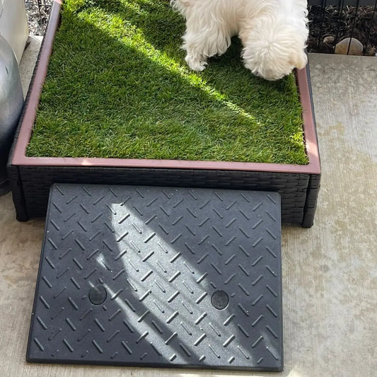 gid://shopify/MediaImage/26891893997611